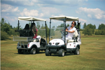 Electric Eco Golf Car - 2 Seater